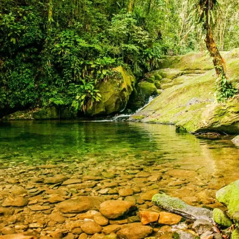 Arredores da pousada - foto 4